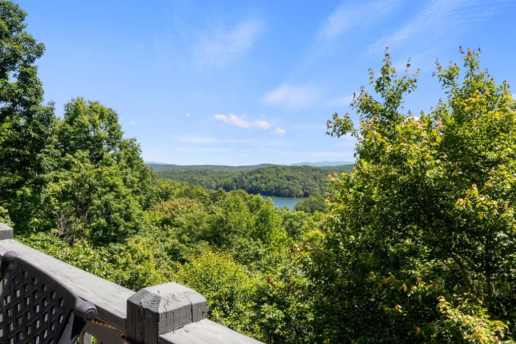 122 Zane Drive, Ellijay GA 30540 - Photo