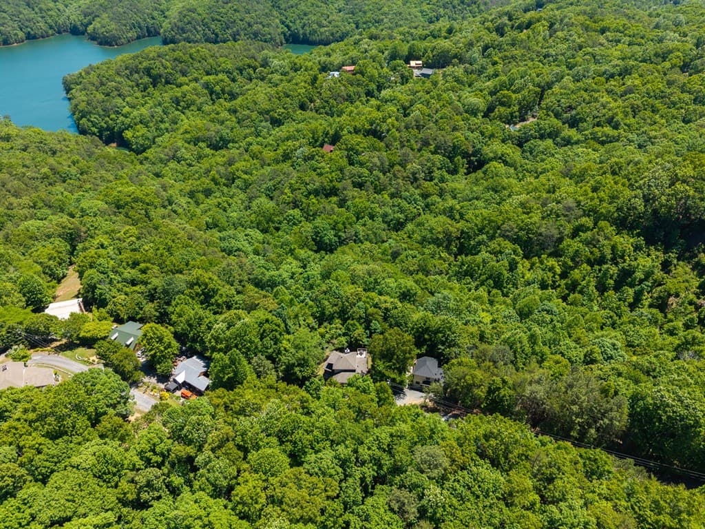 122 Zane Drive, Ellijay GA 30540 - Photo