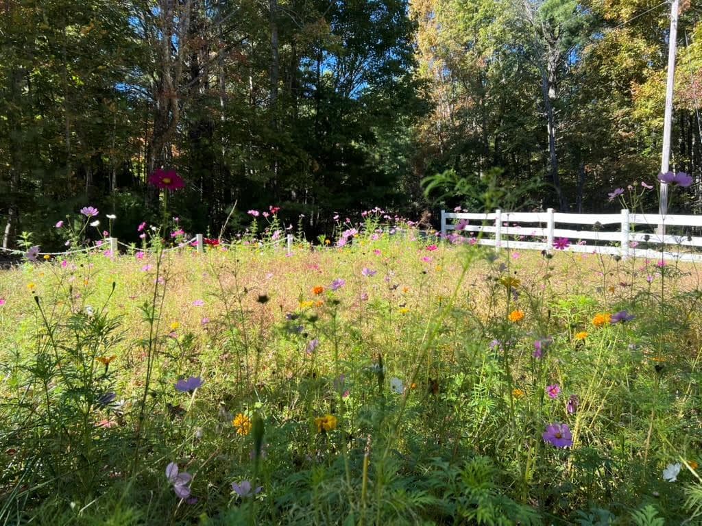48 Skeenah Ridge, Blairsville GA 30512 - Photo
