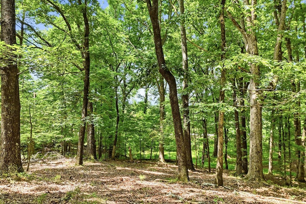 35 Quail Walk, Jasper GA 30143 - Photo