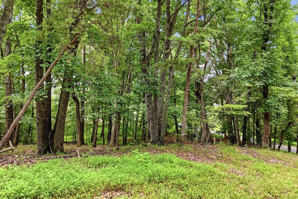 35 Quail Walk, Jasper GA 30143 - Photo