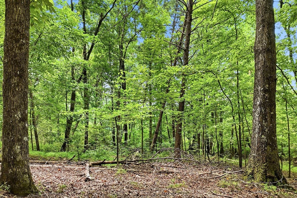 35 Quail Walk, Jasper GA 30143 - Photo