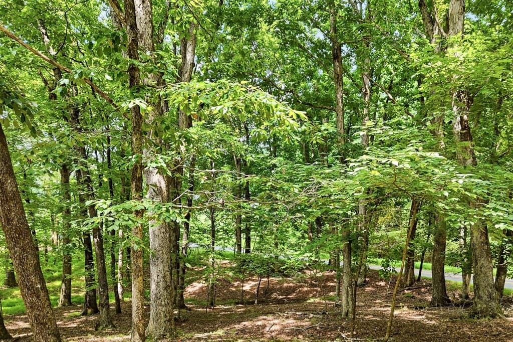 35 Quail Walk, Jasper GA 30143 - Photo