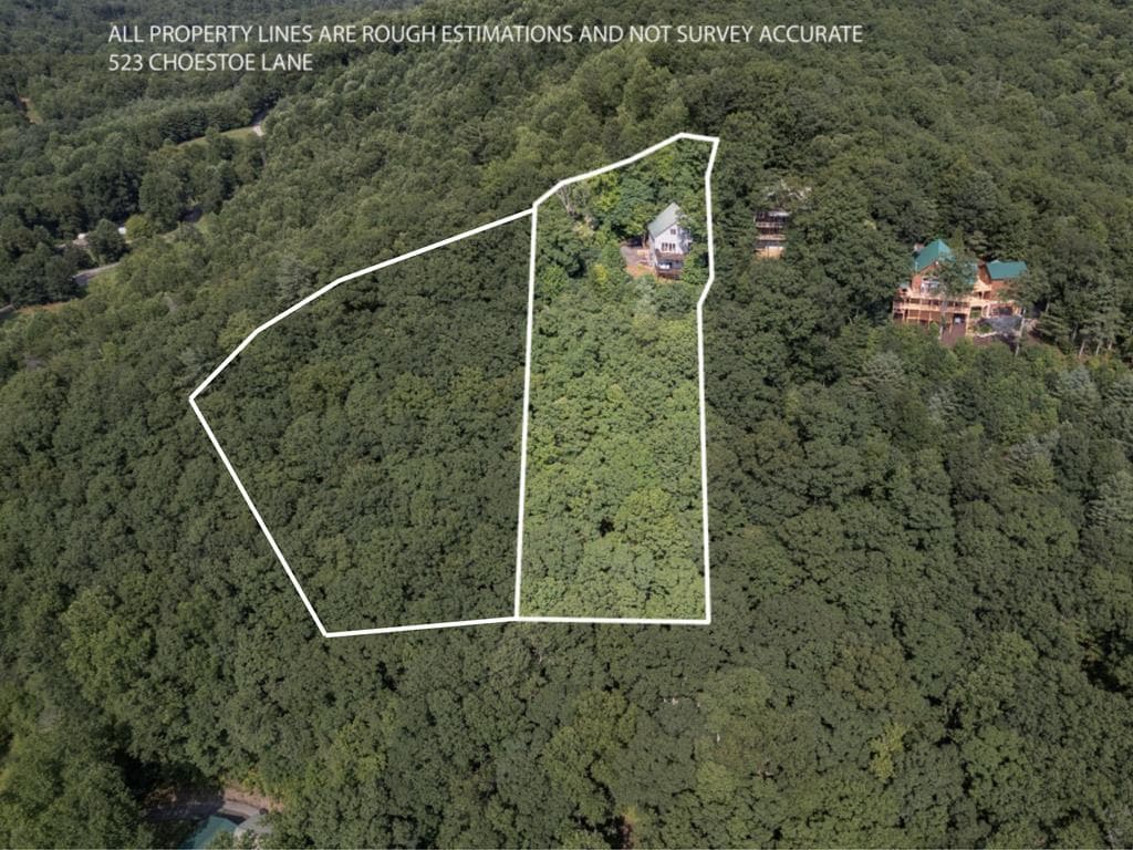 523 Choestoe Lane, Blairsville GA 30512 - Photo