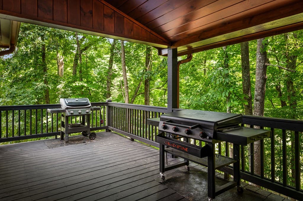 1571 W Campbell Camp Road, Blue Ridge GA 30513 - Photo