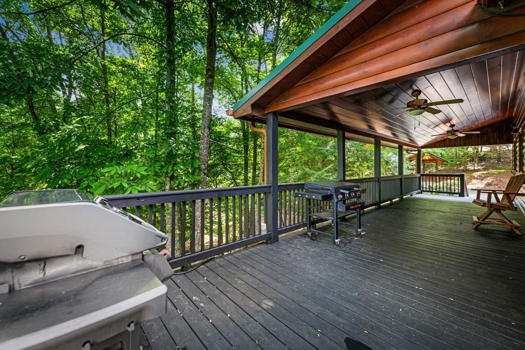 1571 W Campbell Camp Road, Blue Ridge GA 30513 - Photo