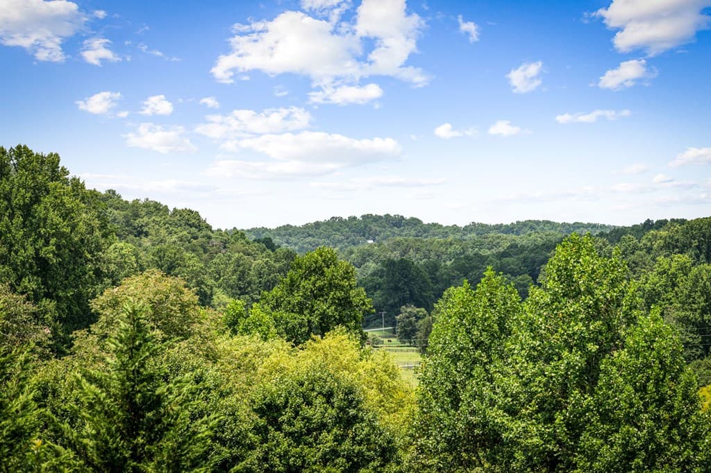 1571 W Campbell Camp Road, Blue Ridge GA 30513 - Photo