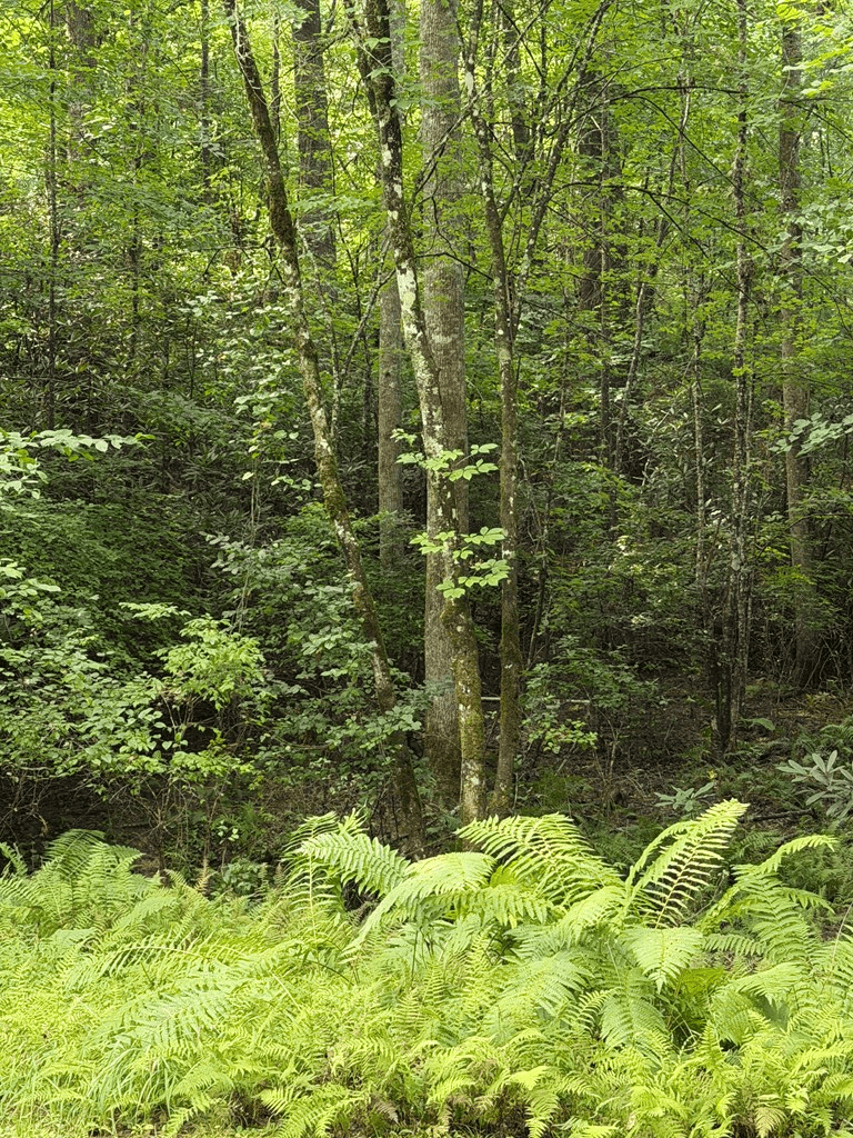 0 Rockridge Road, Murphy NC 28906 - Photo