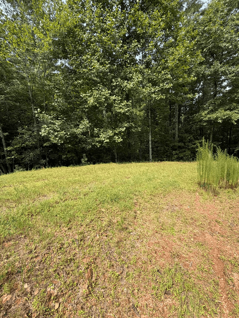 0 Rockridge Road, Murphy NC 28906 - Photo