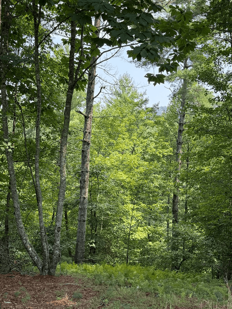 0 Rockridge Road, Murphy NC 28906 - Photo