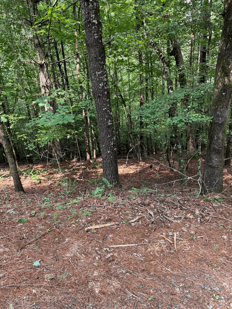 0 Rockridge Road, Murphy NC 28906 - Photo