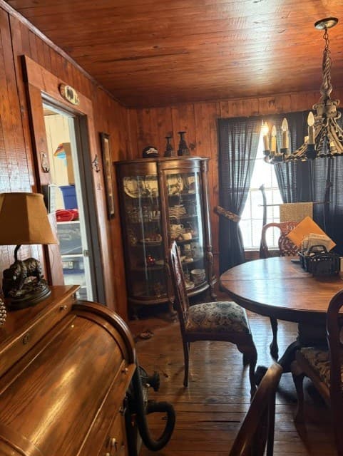 20 S Scruggs Street, Mountain City GA 30562 - Photo