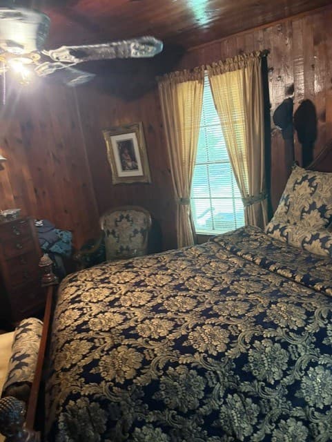 20 S Scruggs Street, Mountain City GA 30562 - Photo