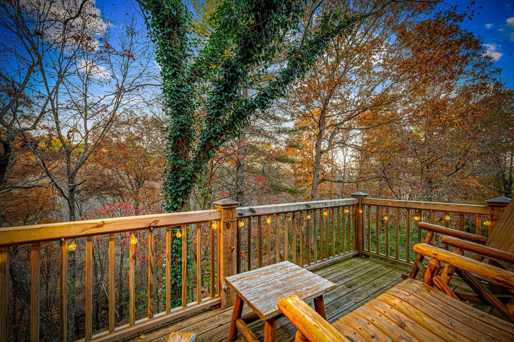90 Hay Lane, Morganton GA 30560 - Photo