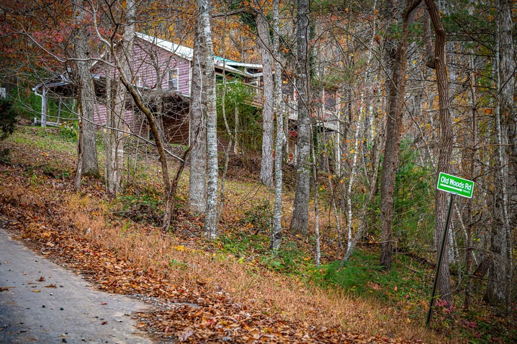 90 Hay Lane, Morganton GA 30560 - Photo