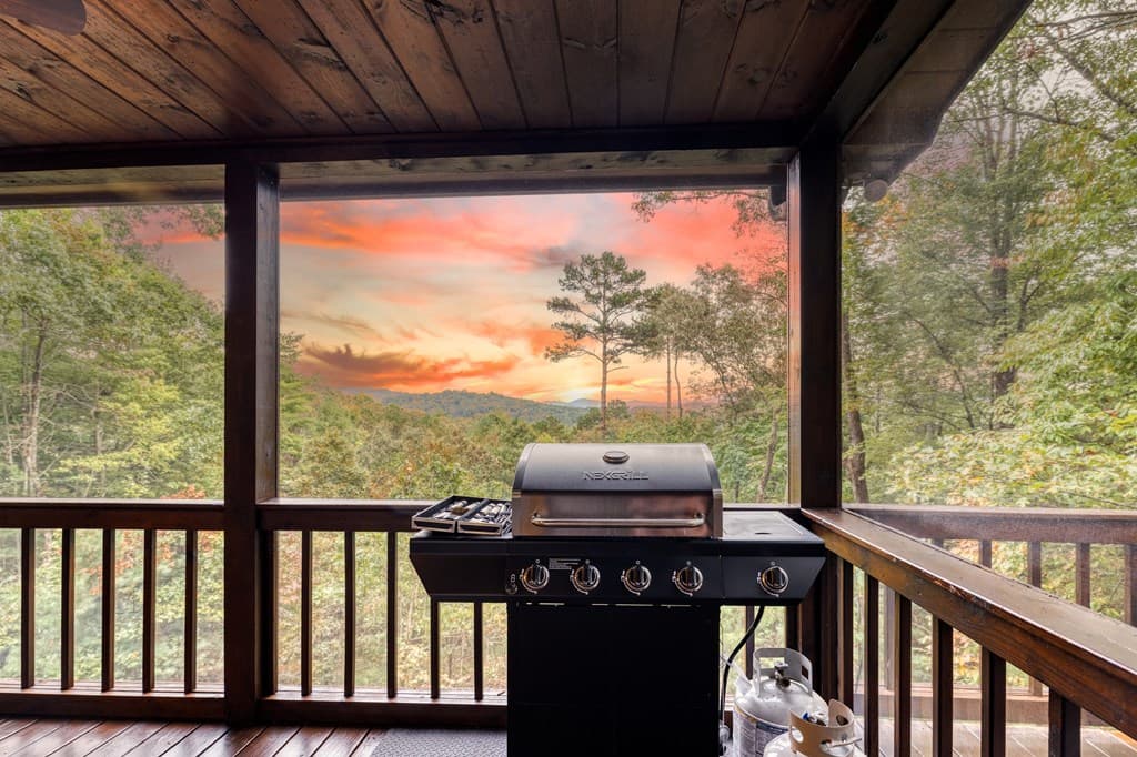 335 N Old Aska Road, Blue Ridge GA 30513 - Photo