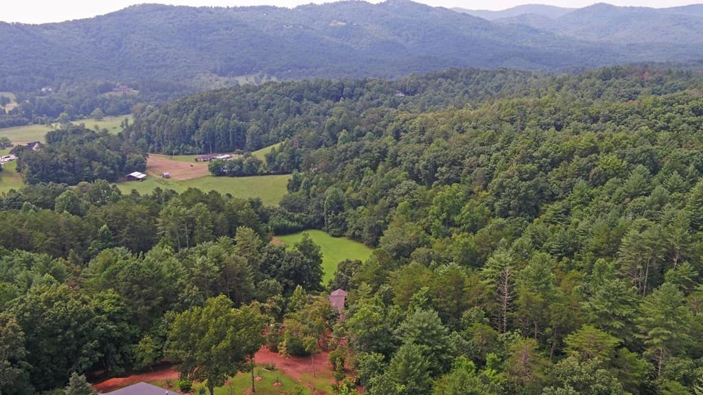 475 Rivercane Road, Brasstown NC 28902 - Photo