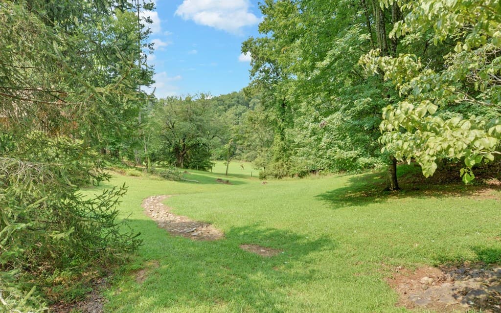 475 Rivercane Road, Brasstown NC 28902 - Photo