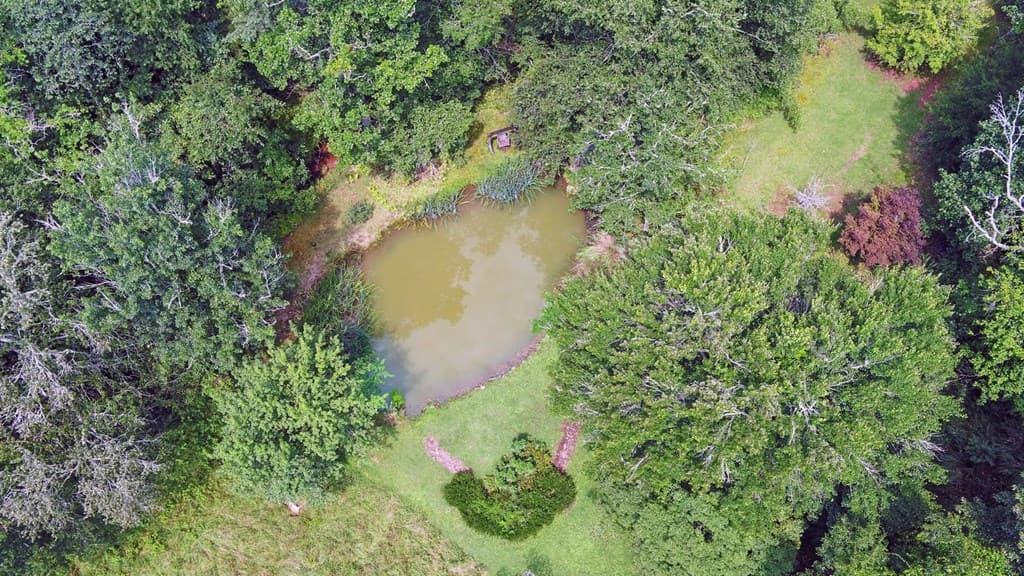 475 Rivercane Road, Brasstown NC 28902 - Photo