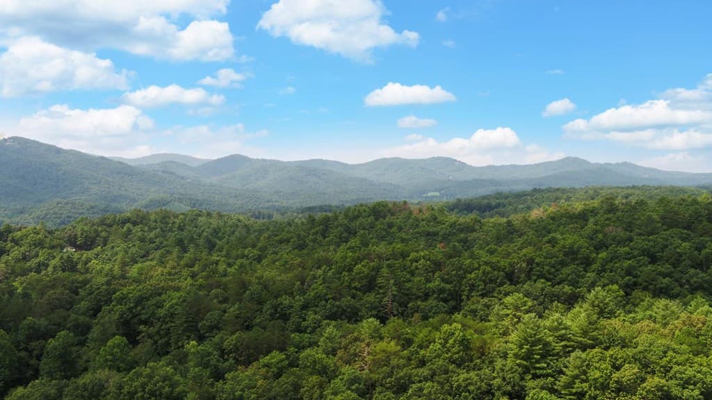 475 Rivercane Road, Brasstown NC 28902 - Photo