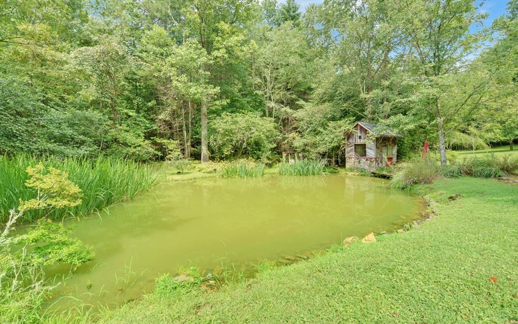 475 Rivercane Road, Brasstown NC 28902 - Photo