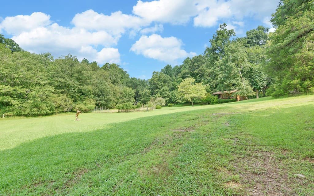 475 Rivercane Road, Brasstown NC 28902 - Photo