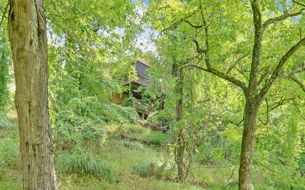 475 Rivercane Road, Brasstown NC 28902 - Photo