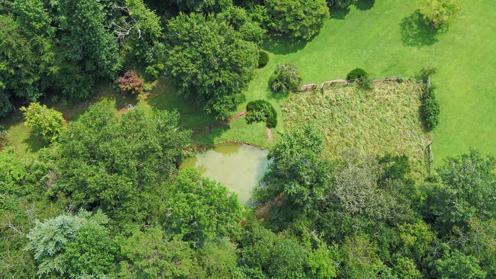 475 Rivercane Road, Brasstown NC 28902 - Photo