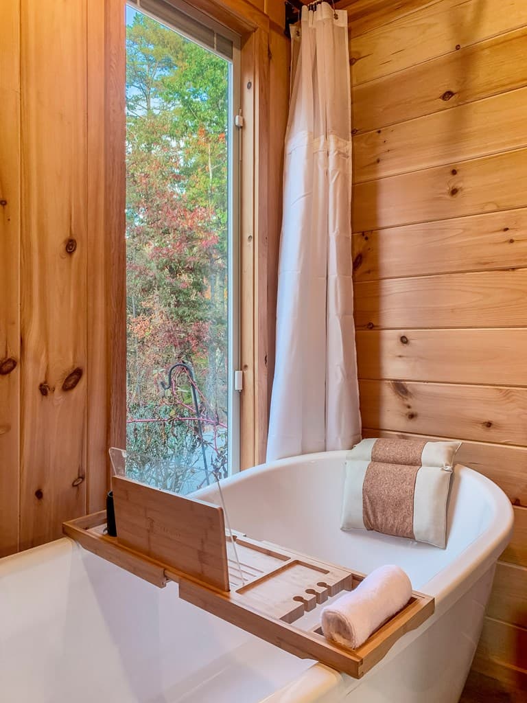 115 Raleigh Ridge Drive, Blue Ridge GA 30513 - Photo