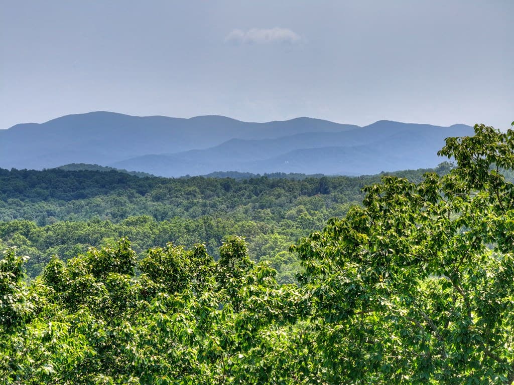 100 Boundless Trail, Morganton GA 30560 - Photo