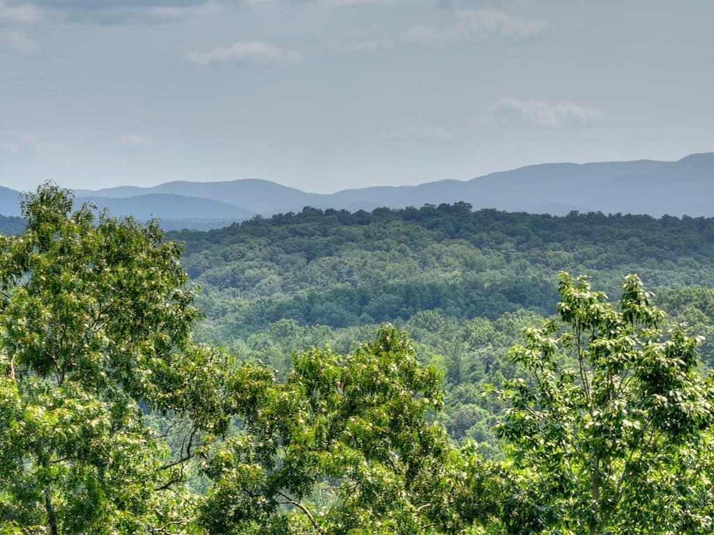 100 Boundless Trail, Morganton GA 30560 - Photo
