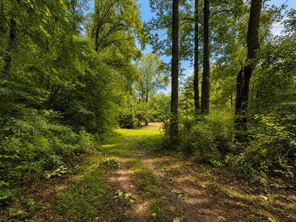 4.06 AC Licklog Trail, Ellijay GA 30536 - Photo