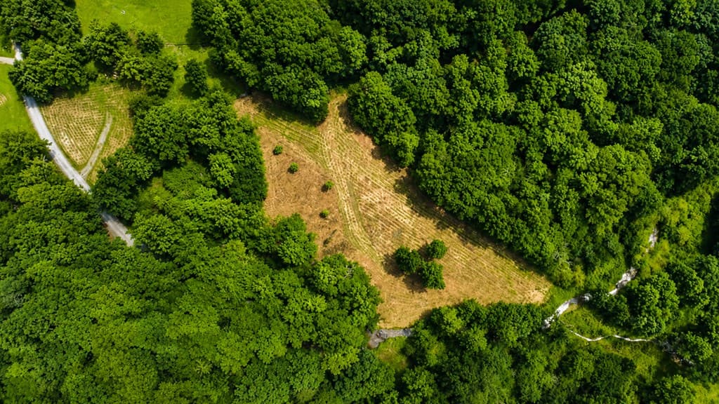 4.06 AC Licklog Trail, Ellijay GA 30536 - Photo