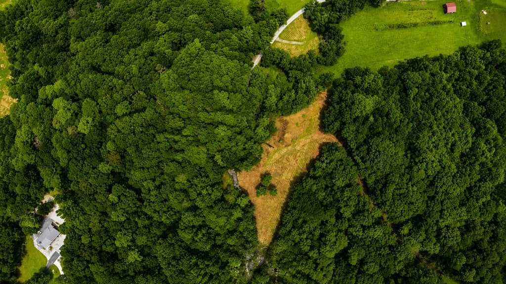 4.06 AC Licklog Trail, Ellijay GA 30536 - Photo