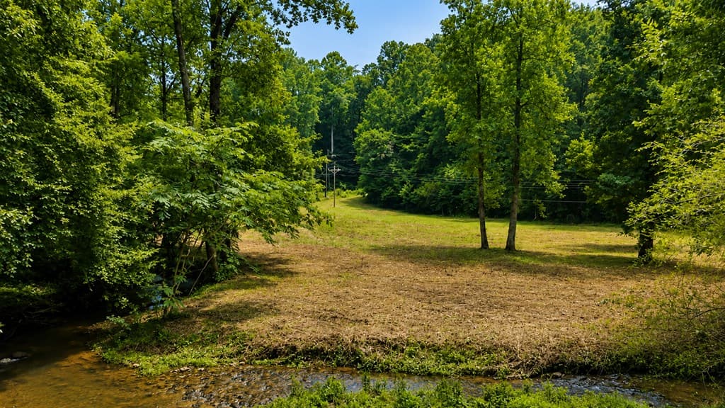 4.06 AC Licklog Trail, Ellijay GA 30536 - Photo