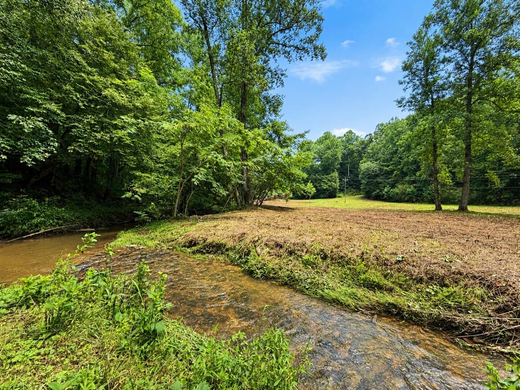 4.06 AC Licklog Trail, Ellijay GA 30536 - Photo