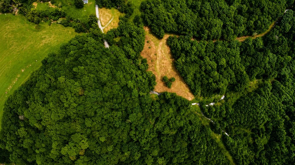 4.06 AC Licklog Trail, Ellijay GA 30536 - Photo
