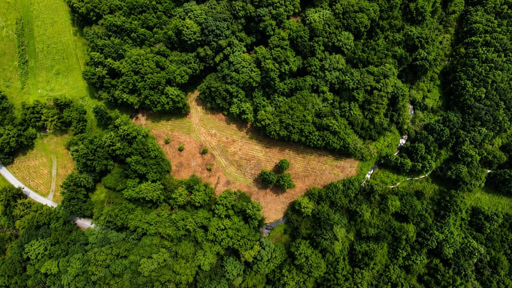 4.06 AC Licklog Trail, Ellijay GA 30536 - Photo