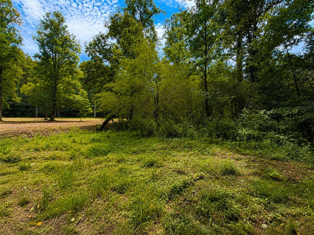 4.06 AC Licklog Trail, Ellijay GA 30536 - Photo