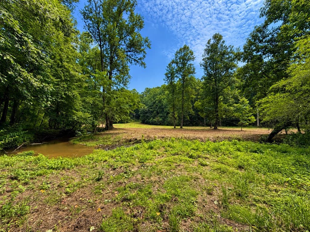 4.06 AC Licklog Trail, Ellijay GA 30536 - Photo
