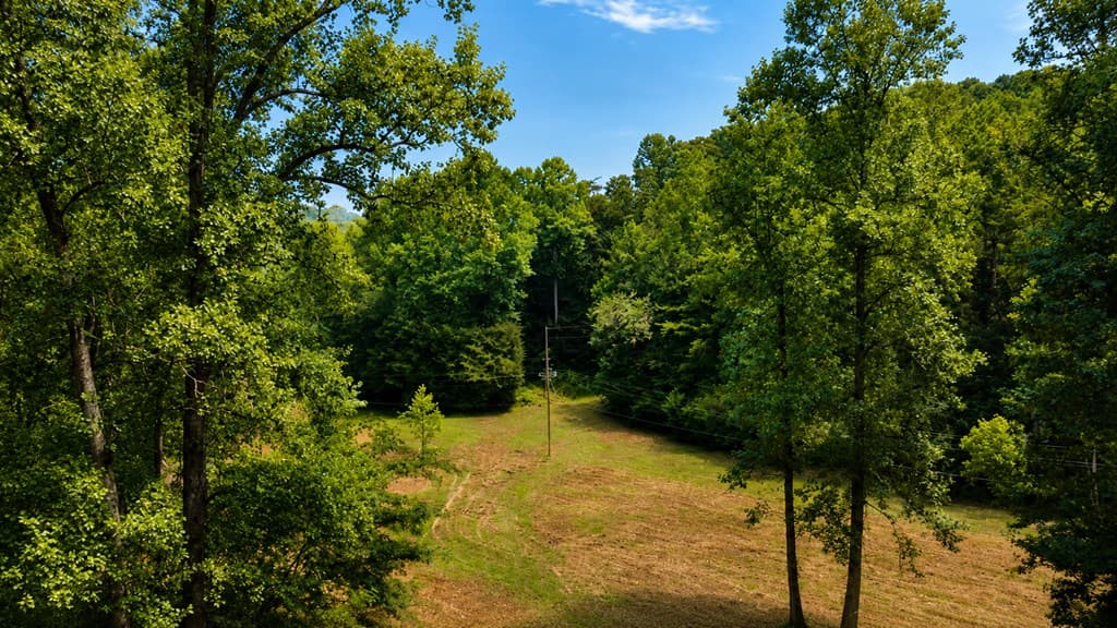 4.06 AC Licklog Trail, Ellijay GA 30536 - Photo