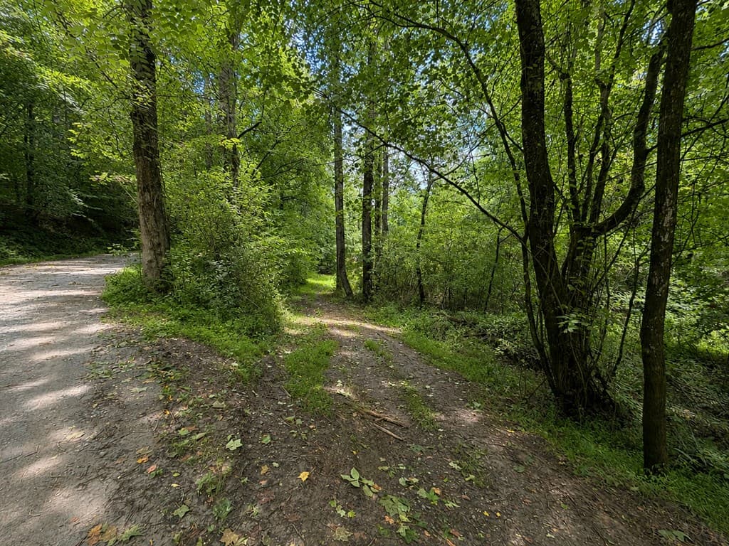 4.06 AC Licklog Trail, Ellijay GA 30536 - Photo