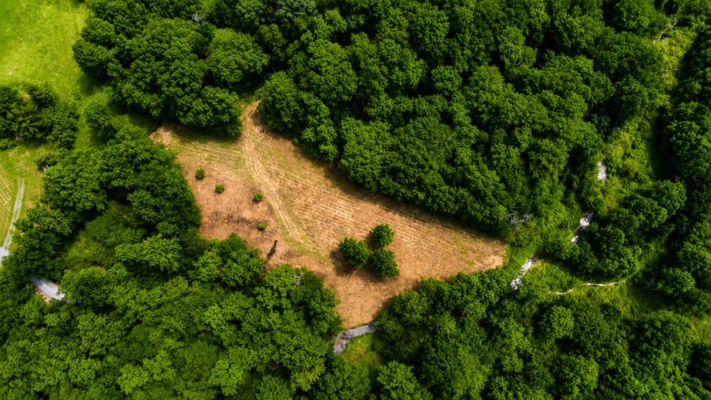 4.06 AC Licklog Trail, Ellijay GA 30536 - Photo