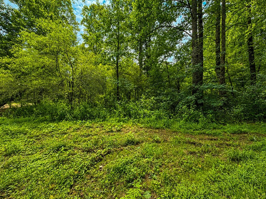 4.06 AC Licklog Trail, Ellijay GA 30536 - Photo