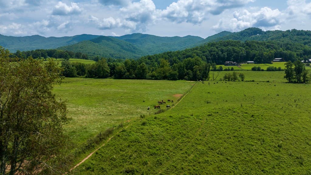 51.20 AC Bethabara Road, Hayesville NC 28904 - Photo