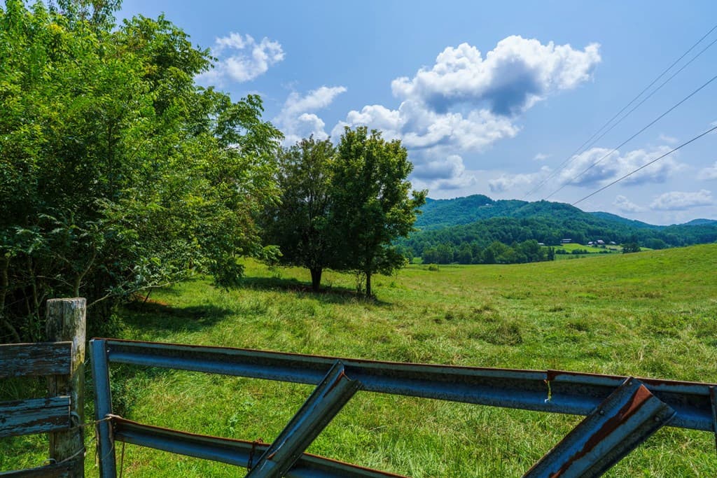 51.20 AC Bethabara Road, Hayesville NC 28904 - Photo