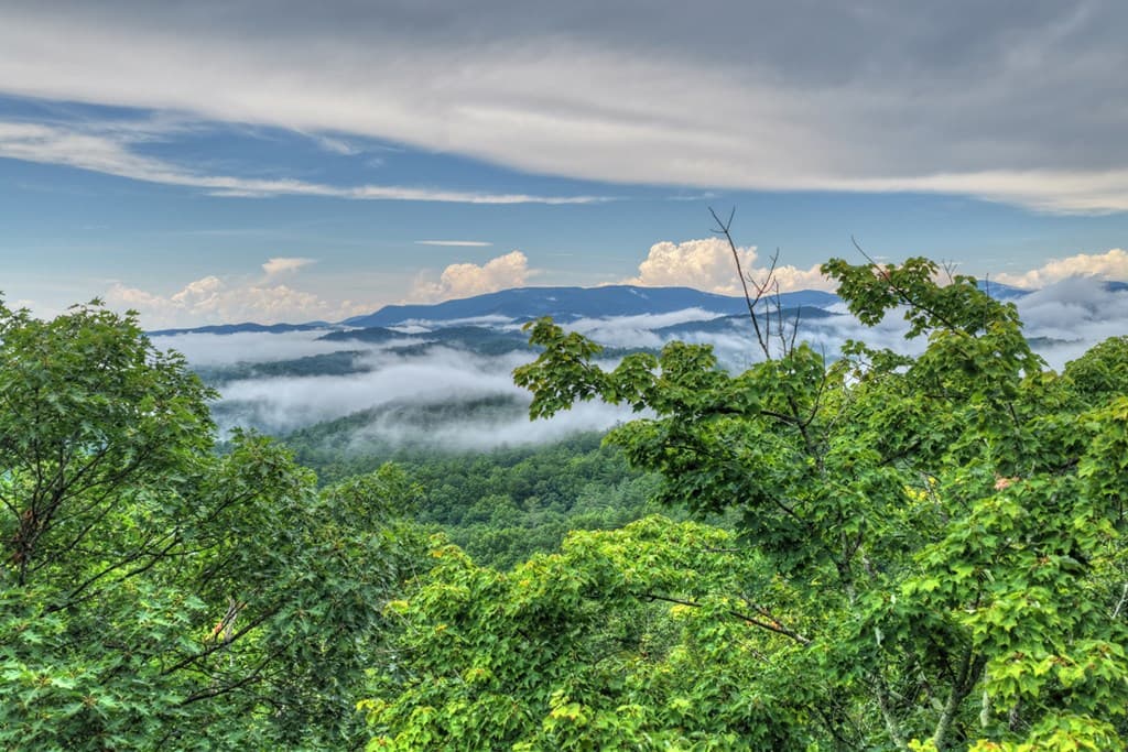 1138 Douglas Mountain Trail, Ellijay GA 30540 - Photo