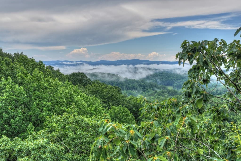 1138 Douglas Mountain Trail, Ellijay GA 30540 - Photo