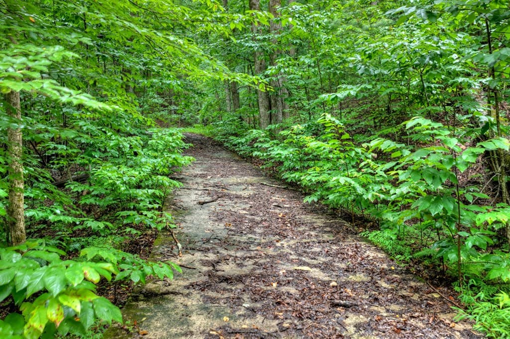 1138 Douglas Mountain Trail, Ellijay GA 30540 - Photo