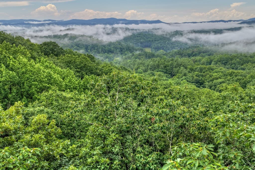 1138 Douglas Mountain Trail, Ellijay GA 30540 - Photo